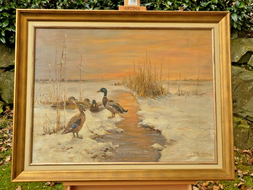 Enten winter bach - im,