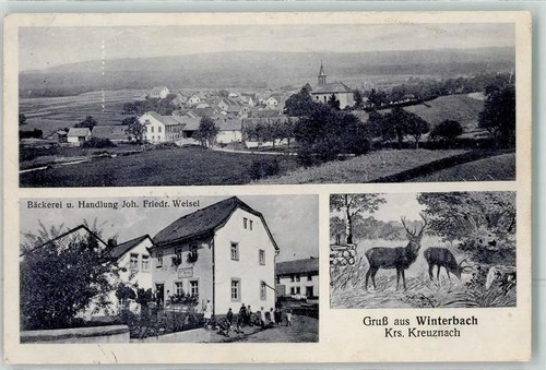 55595 w6551 winterbach kr - w6551,