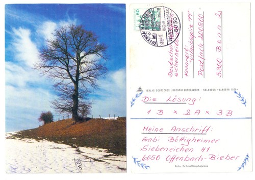 127019 kahler baum im - kahler,