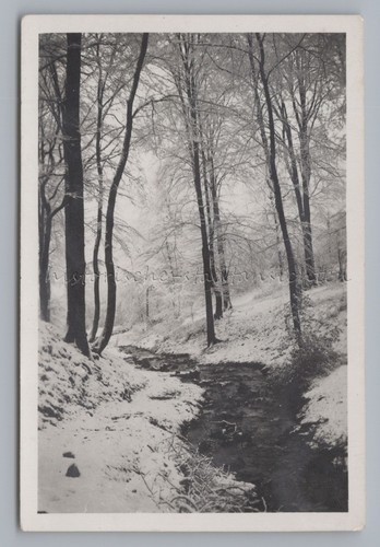 Winterwald bachlauf winter - winterwald,